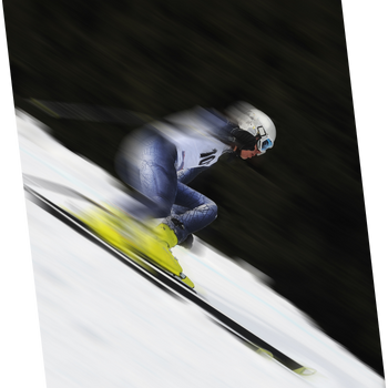 Expert Ski Racer